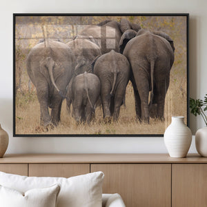 Wild Elephant Wall Art Canvas Print