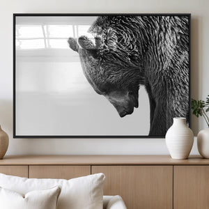 Black and White Grizzly 399 Bear Canvas Print Wall Art |