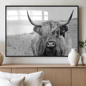 Newfoundland Cow Art Wall Art, Black White Cow Art Wall Art