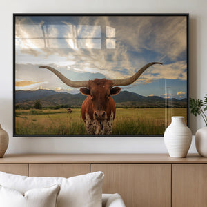 Texas Longhorn Canvas Wall Art – Majestic Triptych Animal
