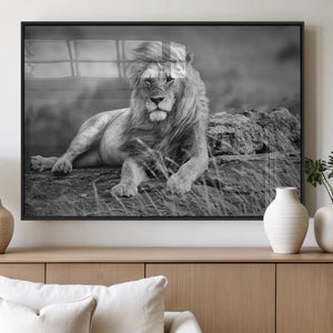 King Forest Lion Wall Art Canvas Print – Framed Majestic