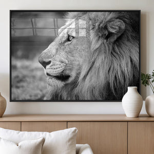 African Lion Wall Art Canvas Print – Majestic Wildlife