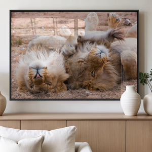 Lion Pair Wall Art Canvas Print – Framed Wildlife Scene with
