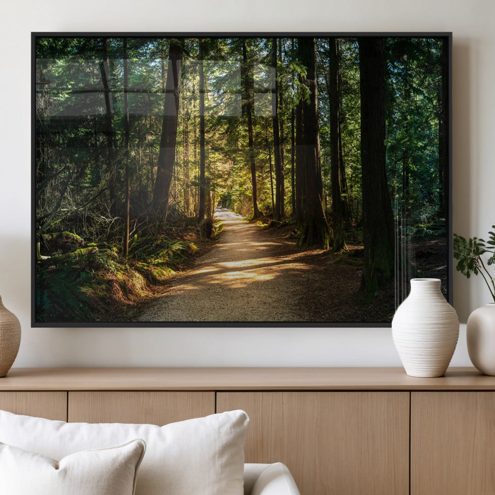 Sunlit Forest Pathway Canvas Print | 3 Panel Large Nature