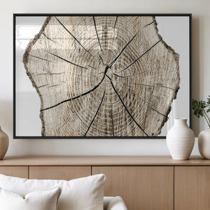 Abstract Wood Tree Ring Wall Art - Ready to Hang Minimalist