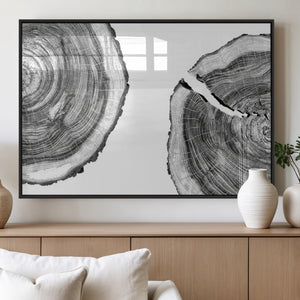 Abstract Large Tree Rings – Minimalist Black and White Wood
