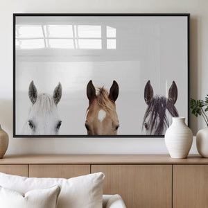 Horse Prints Set, Set of 3 Horse Wall Art, Horses Portraits,