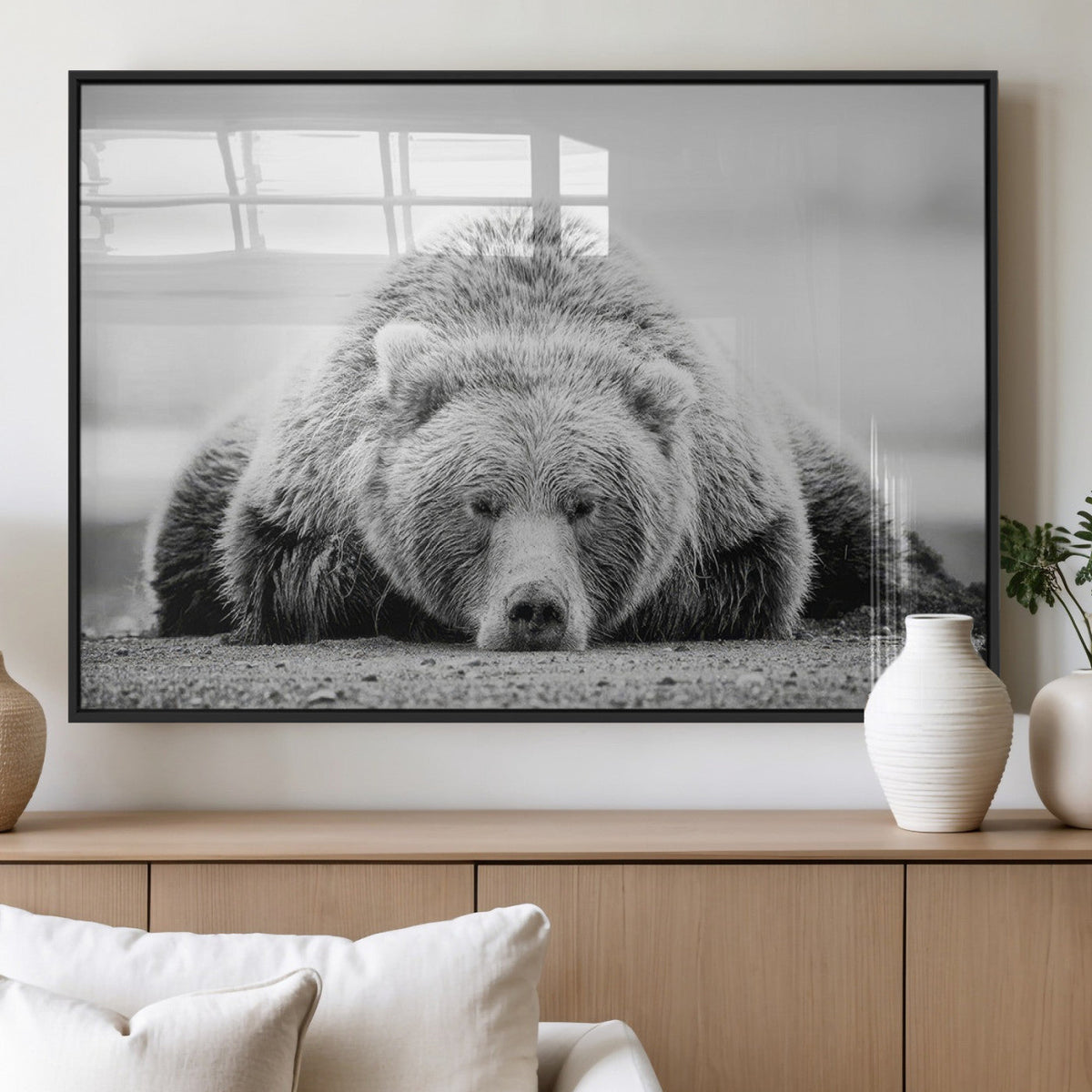 Resting Grizzly Bear Wall Art Canvas Print – Majestic Lazy