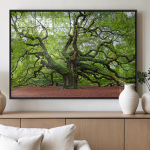 Framed Angel Oak Tree Wall Art - 3-Panel Canvas Prints,