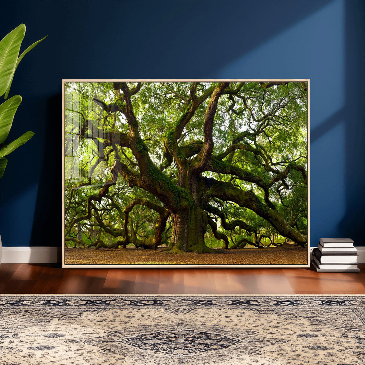 Angel Oak Tree Wall Art Canvas Print | Forest Tree Nature