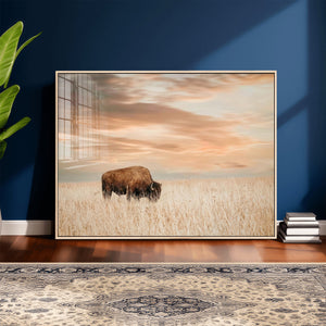 MyCanvas -
