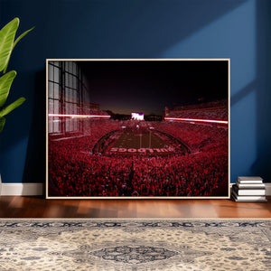 Sanford Stadium Wall Art Canvas Print – Georgia Bulldogs