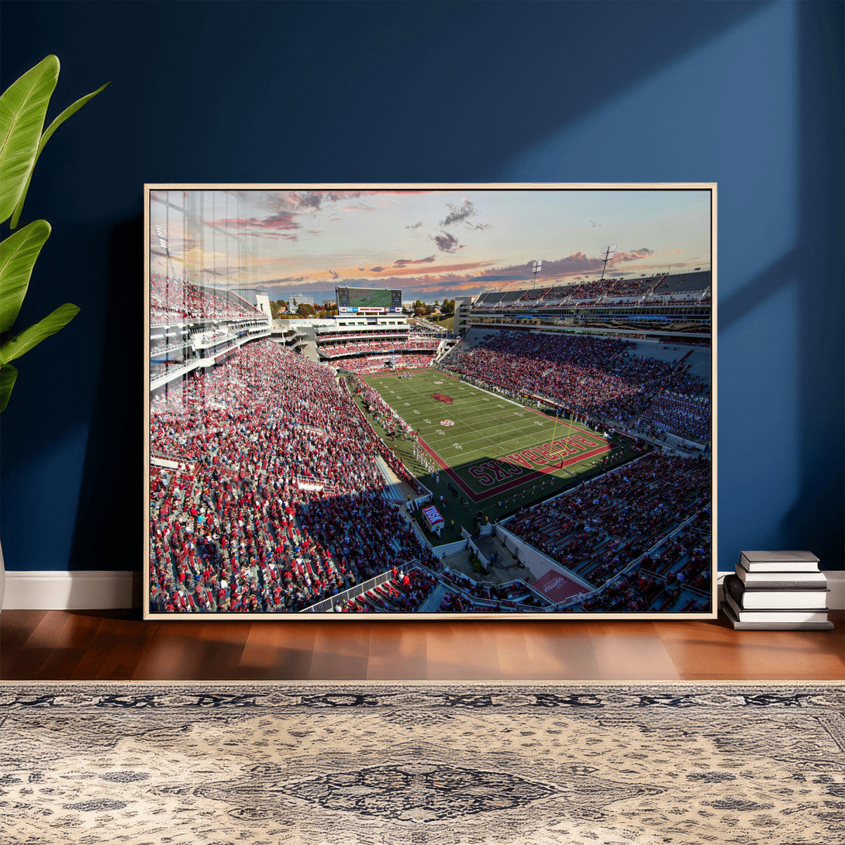 Donald W. Reynolds Razorback Stadium Wall Art Canvas Print –