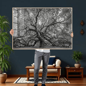 Majestic Angel Oak Tree Black and White Canvas Print – Multi