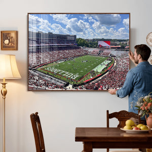 Georgia Bulldogs Stadium Wall Art Canvas Print, Sanford