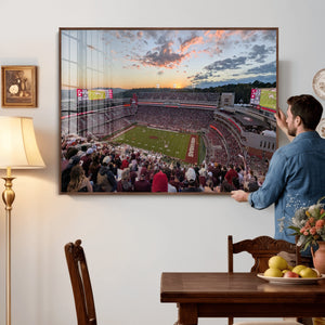 Donald W. Reynolds Razorback Stadium Wall Art Canvas Print –
