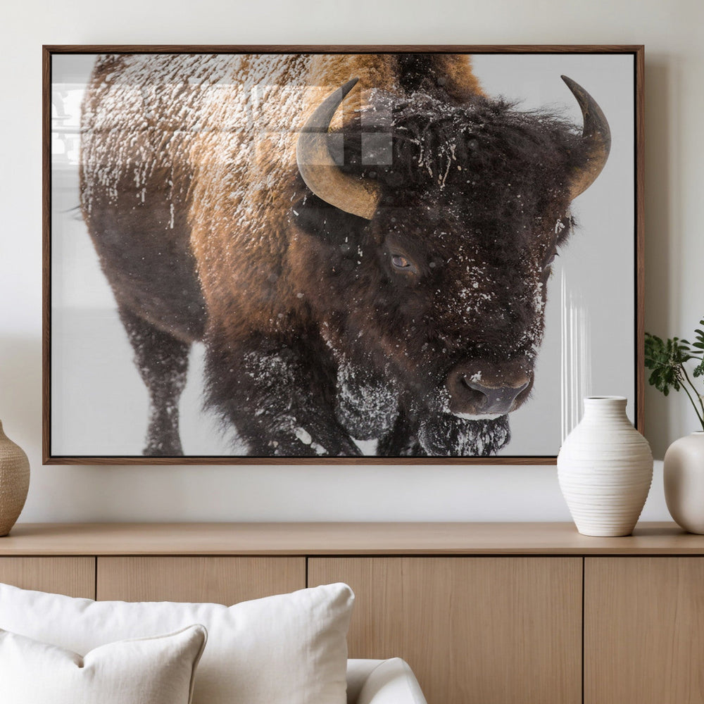 Bison Wall Art Canvas Print For Farmhouse, Wild Animal Wall