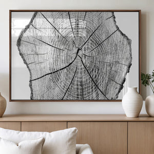 Rustic Tree Ring Wall Art Canvas Print – Framed and Ready to