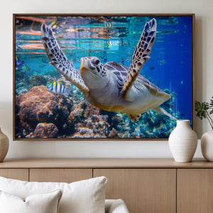 Underwater Sea Turtle Wall Art Canvas Print – Vibrant Ocean