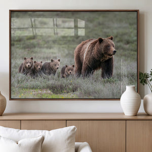Wildlife Photography of 399 Grizzly Bear Cubs | Queen of the