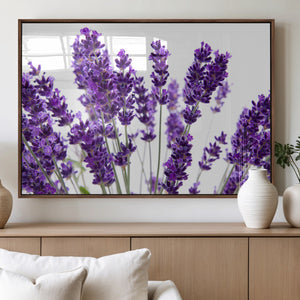Lavender Flower Wall Art Canvas Print