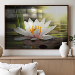 Lotus Flower Wall Art Canvas Print, Water Lily Large Wall