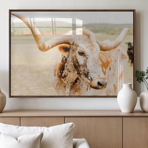 Texas Longhorn Wall Art Canvas Print – Framed Spotted Cow