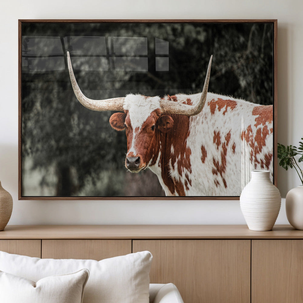 Texas Longhorn Wall Art Canvas Print – Framed Spotted Bull
