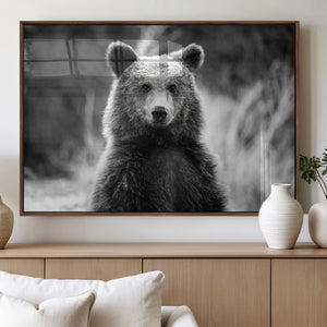 Grizzly Bear Wall Art Canvas Print – Framed Black White