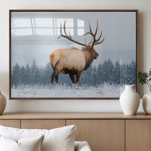 Elk Wall Art Canvas Print – Framed Snowy Forest Scene Art