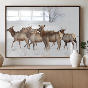 Winter Elk Scene Wall Art Canvas Print – Framed Wildlife