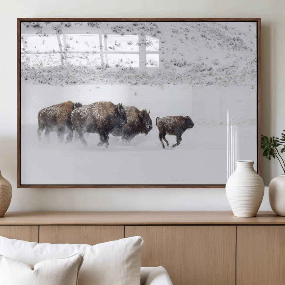 Bison Herd Decor Wall Art Canvas Print – Framed Snowy Bison