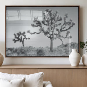 Joshua Tree Wall Art Canvas Print – Black and White Desert