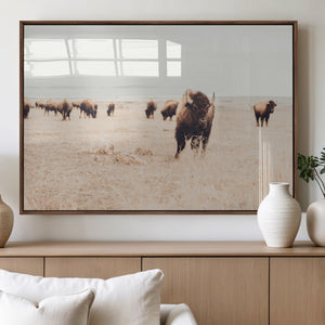 Bison Herd Wall Art Canvas Print, Framed Western Landscape