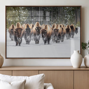 American Bison Herd Wall Art Canvas Print – Powerful Winter