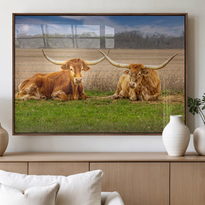 Texas Longhorn Pair Wall Art Canvas Print – Peaceful Rustic