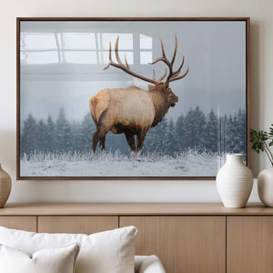 Majestic Elk Snowy Forest Wall Art Canvas Print – Winter