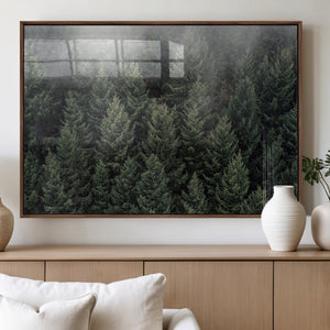 Dense Evergreen Forest Misty Morning Fog Pine Trees Woodland