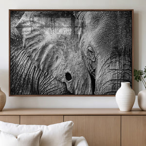 Wild Old Elephant Wall Art Canvas Print
