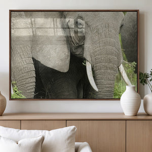 Wild Elephant Wall Art Canvas Print