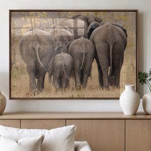 Wild Elephant Wall Art Canvas Print