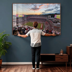 Donald W. Reynolds Razorback Stadium Wall Art Canvas Print –
