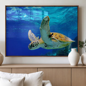 Sea Turtle Wall Art Canvas Print, Sea life in the Ocean Wall