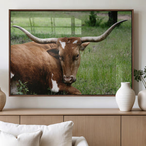 Longhorn Steer Canvas Wall Art – Rustic Nature Triptych