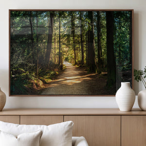 Sunlit Forest Pathway Canvas Print | 3 Panel Large Nature