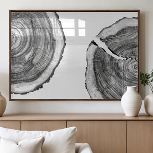 Abstract Large Tree Rings – Minimalist Black and White Wood
