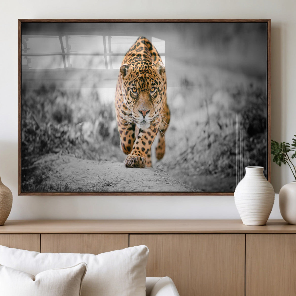 Jaguar Wall Art Canvas Print - Majestic Big Cat in Focused