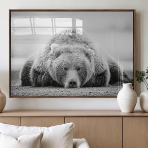 Resting Grizzly Bear Wall Art Canvas Print – Majestic Lazy