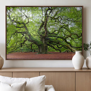 Framed Angel Oak Tree Wall Art - 3-Panel Canvas Prints,