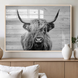 Scottish Highland Cow Cattle Art Print on Wood Background